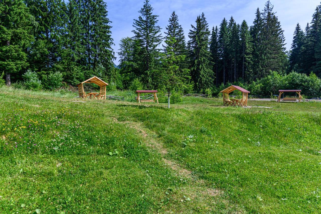 In Silver Mountain Apartment Poiana Brasov
